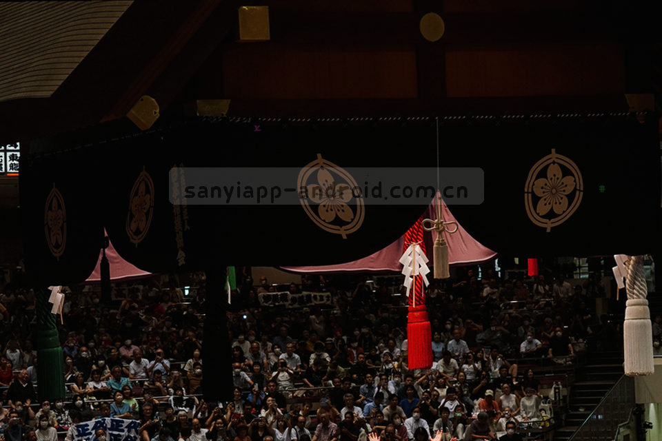 战术板上的阵容圆点与连线特写，局部俯拍，无人物面部
